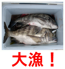 船釣り