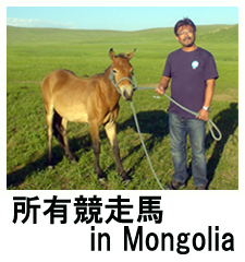 モンゴルの競走馬